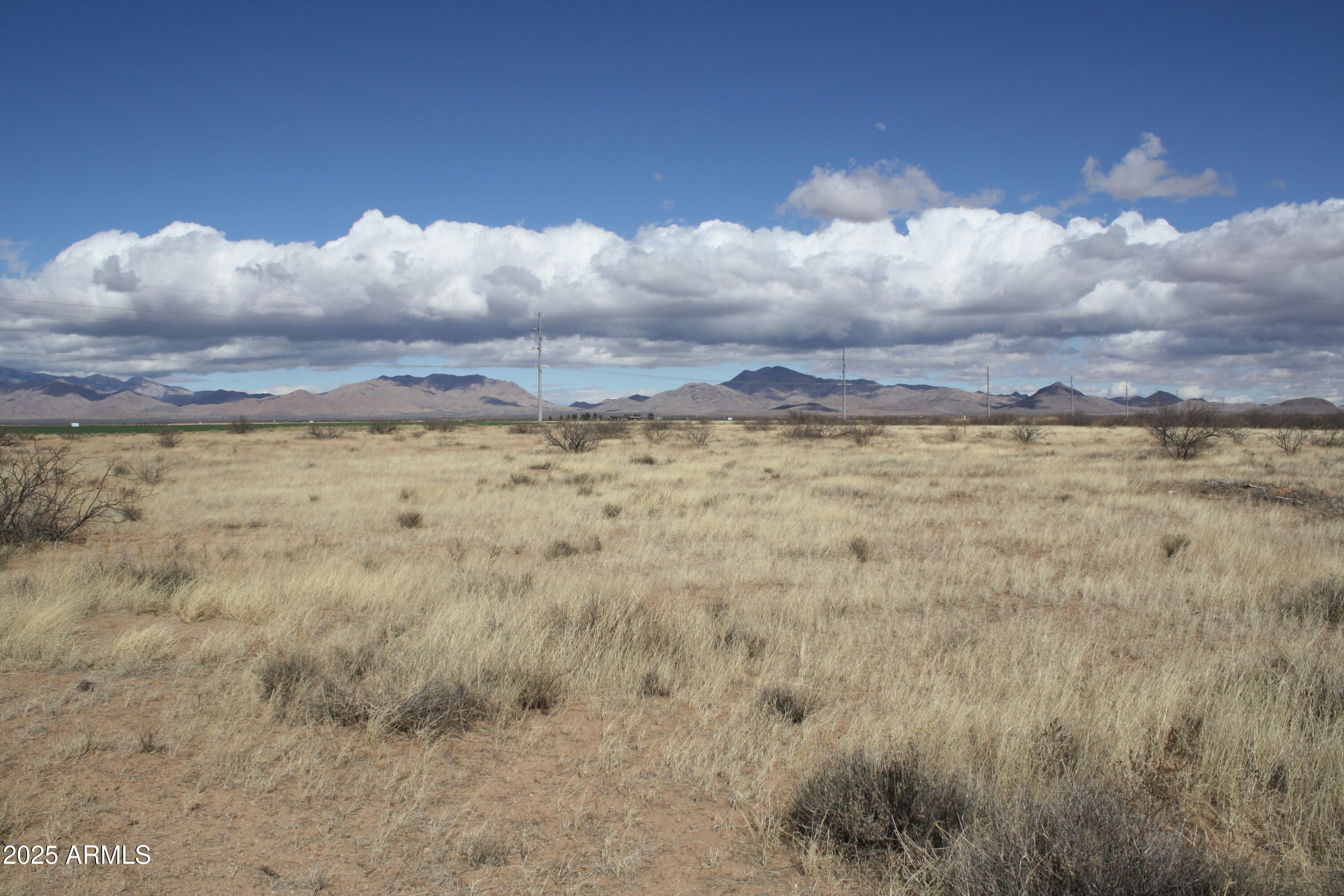 5886 West Howell Road, Unit 13 AND 20 Willcox, AZ 85643 - Photo 25 of 29 a view of a dry yard with trees