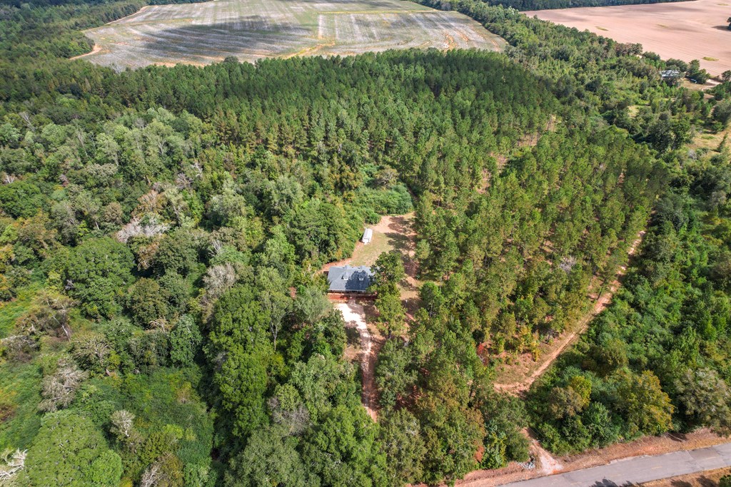 1289 Bruner Pond Road Ashford, AL 36312 - Photo 11 of 65