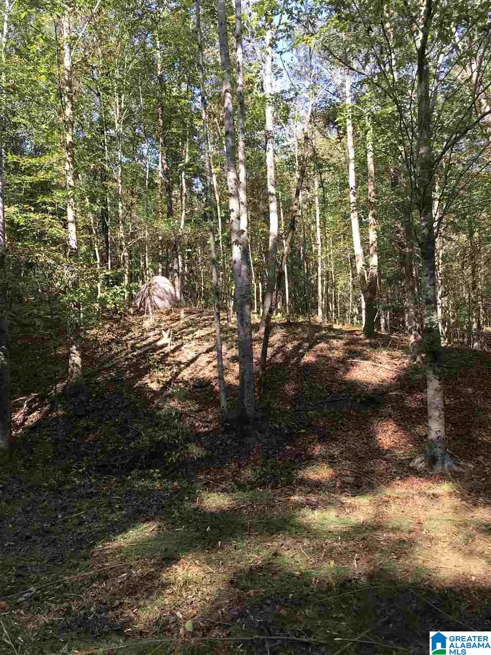 0 County Road 546 Verbena, AL 36091 - Photo 4 of 13