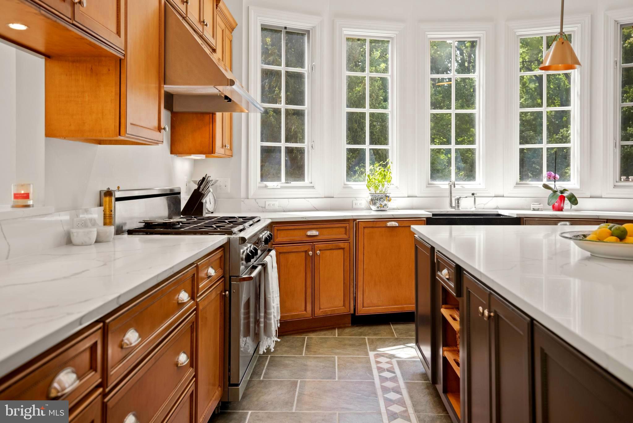 3933 27th Road North Arlington, VA 22207 - Photo 14 of 96