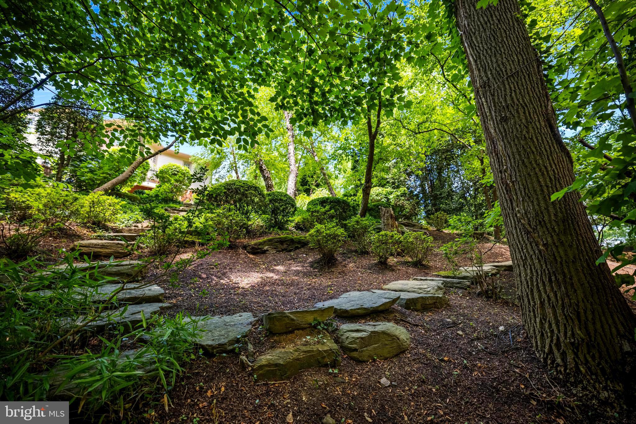 3933 27th Road North Arlington, VA 22207 - Photo 85 of 96