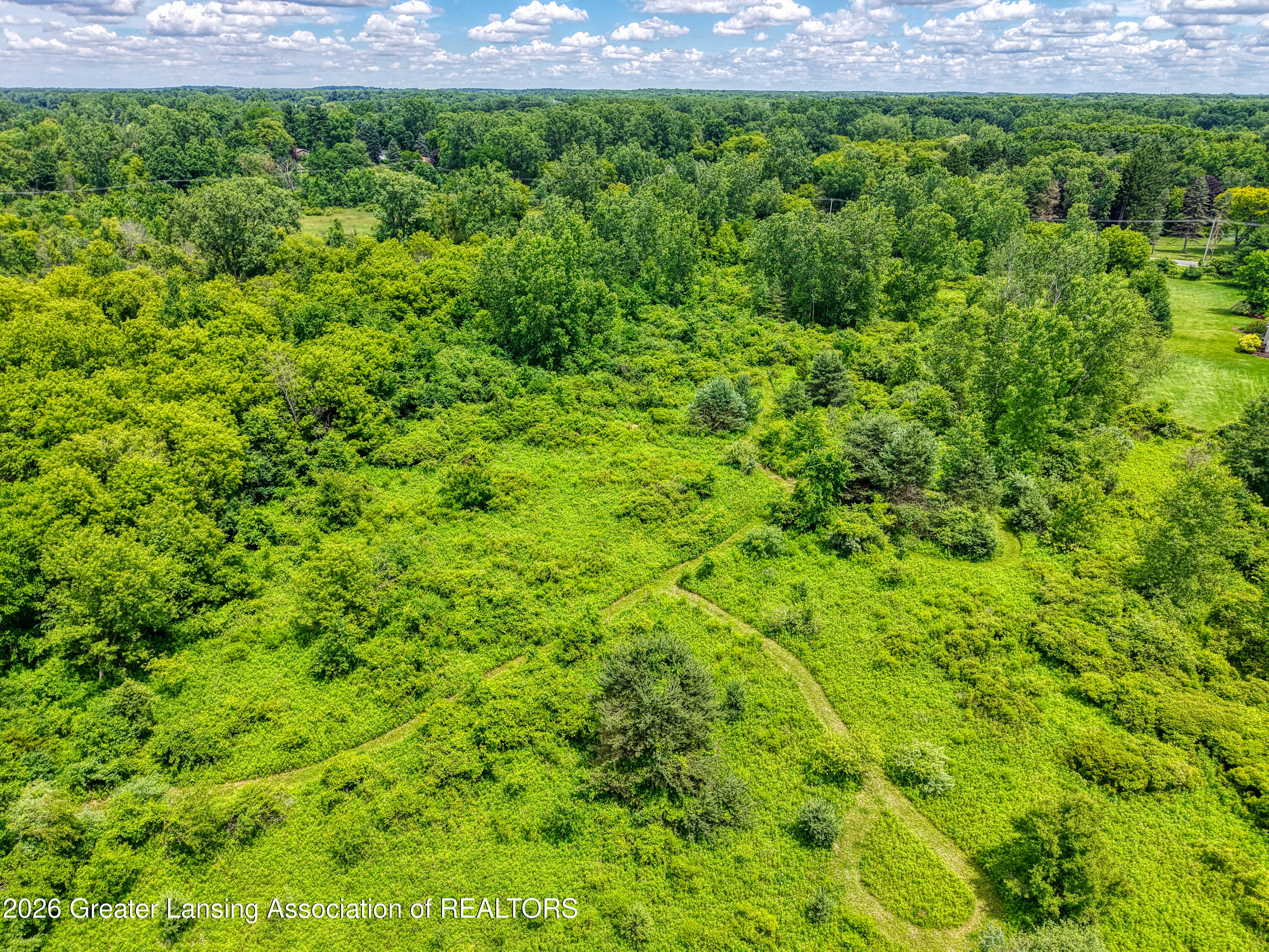 V/l V/l Meridian Road Williamston, MI 48895 - Photo 10 of 17 DJI_20260623135351_0502_D_13