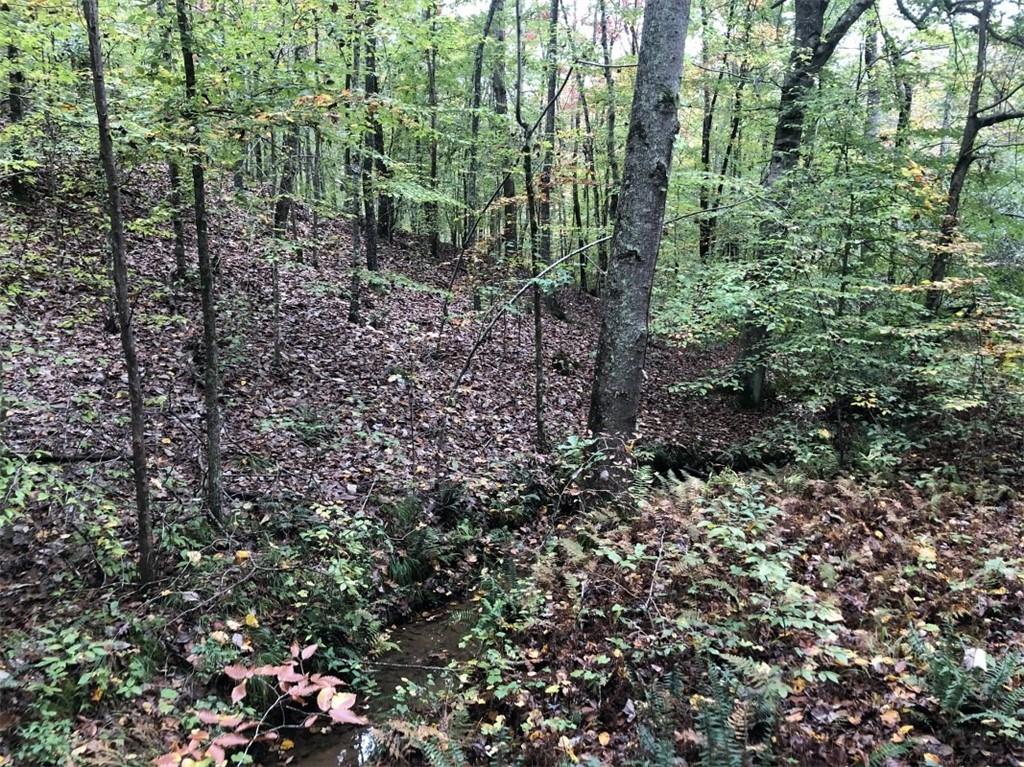 70 Acre Tract Cochran Road Dallas, GA 30132 - Photo 1 of 1 70 WHOPPING ACRES OF ABSOLUTE BEAUTY