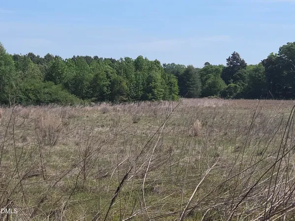 a view of a dry yard with trees in the background