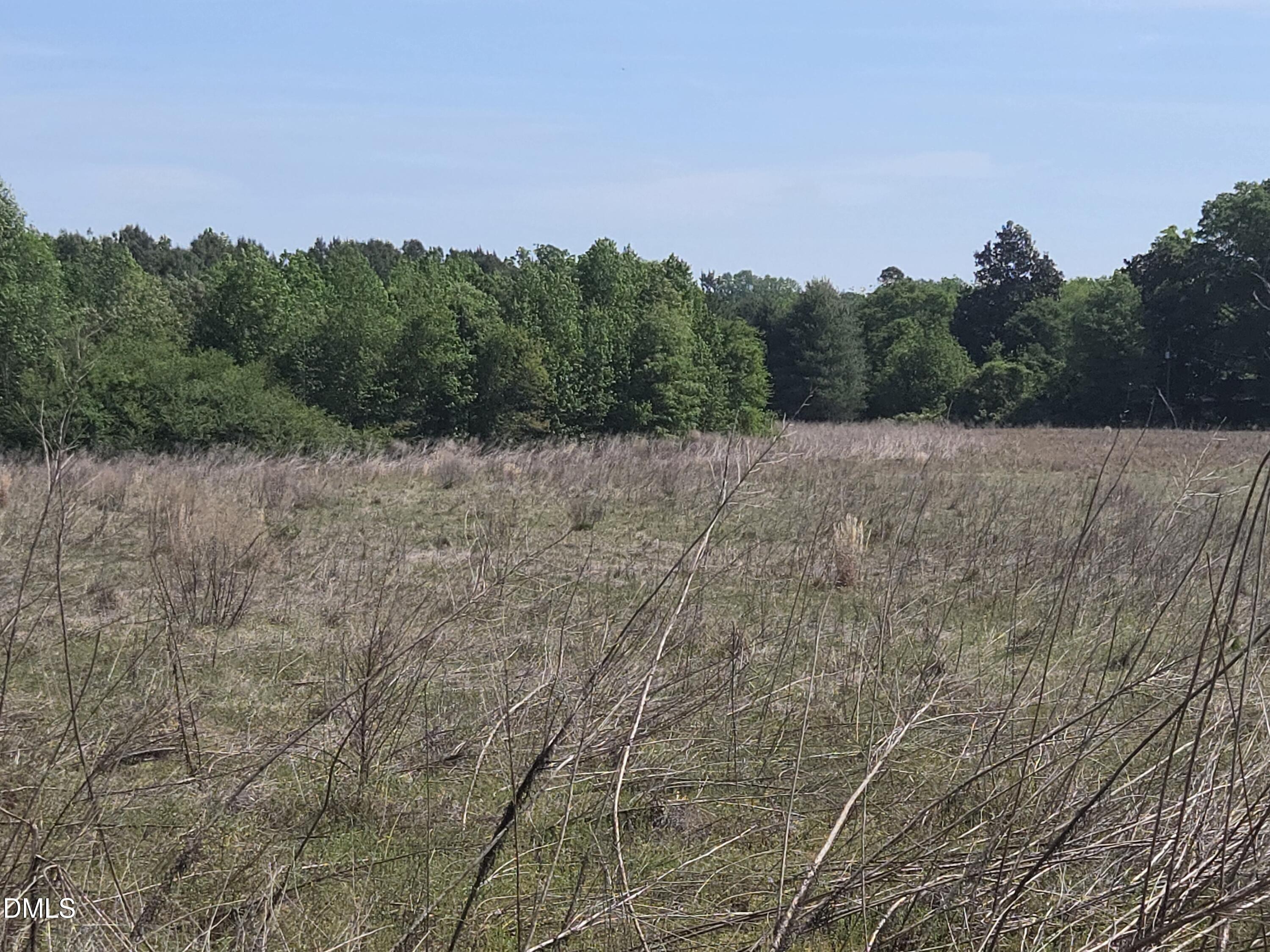 1471 St Andrews Church Road Sanford, NC 27332 - Photo 1 of 1 a view of a dry yard with trees in the background