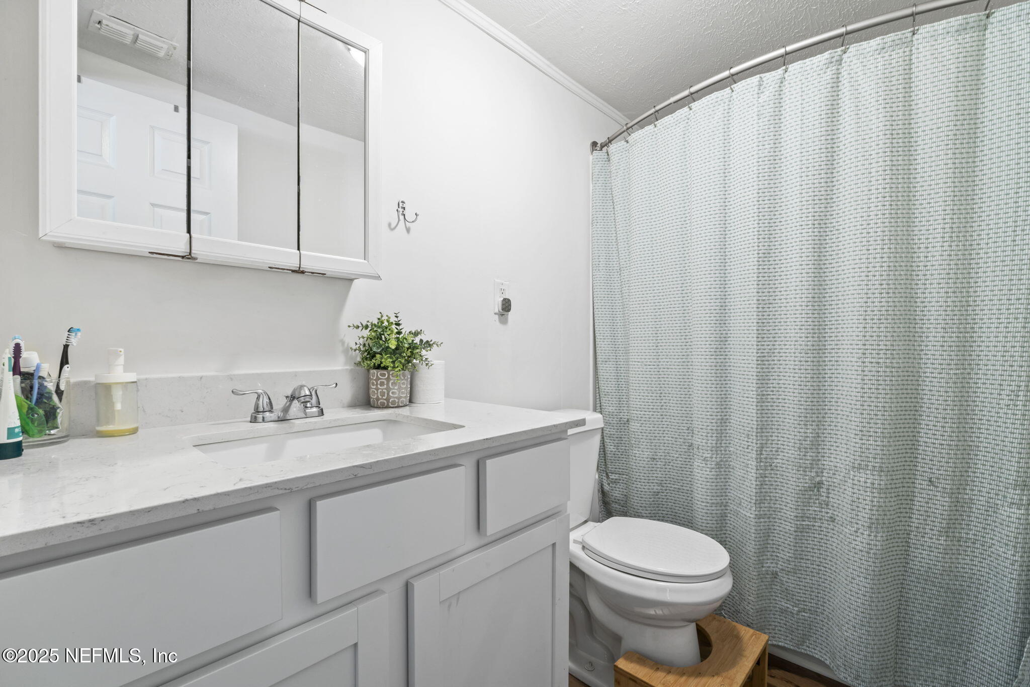9160 Wild Road Jacksonville, FL 32220 - Photo 24 of 39 a bathroom with a sink a toilet and a mirror