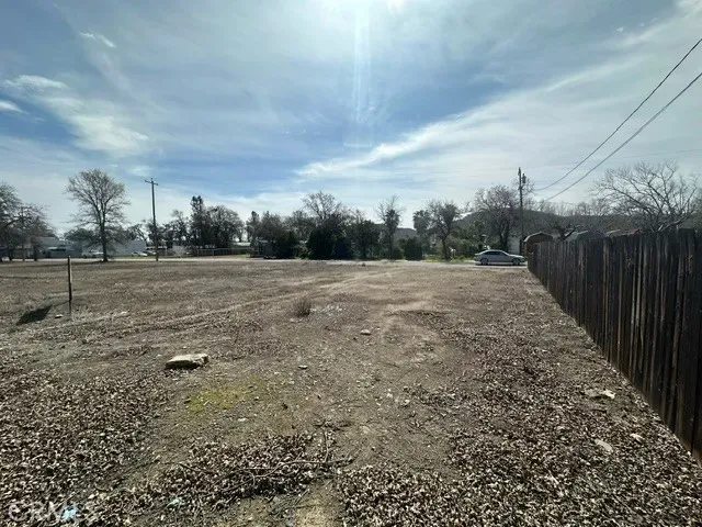 a view of a yard with plants and trees
