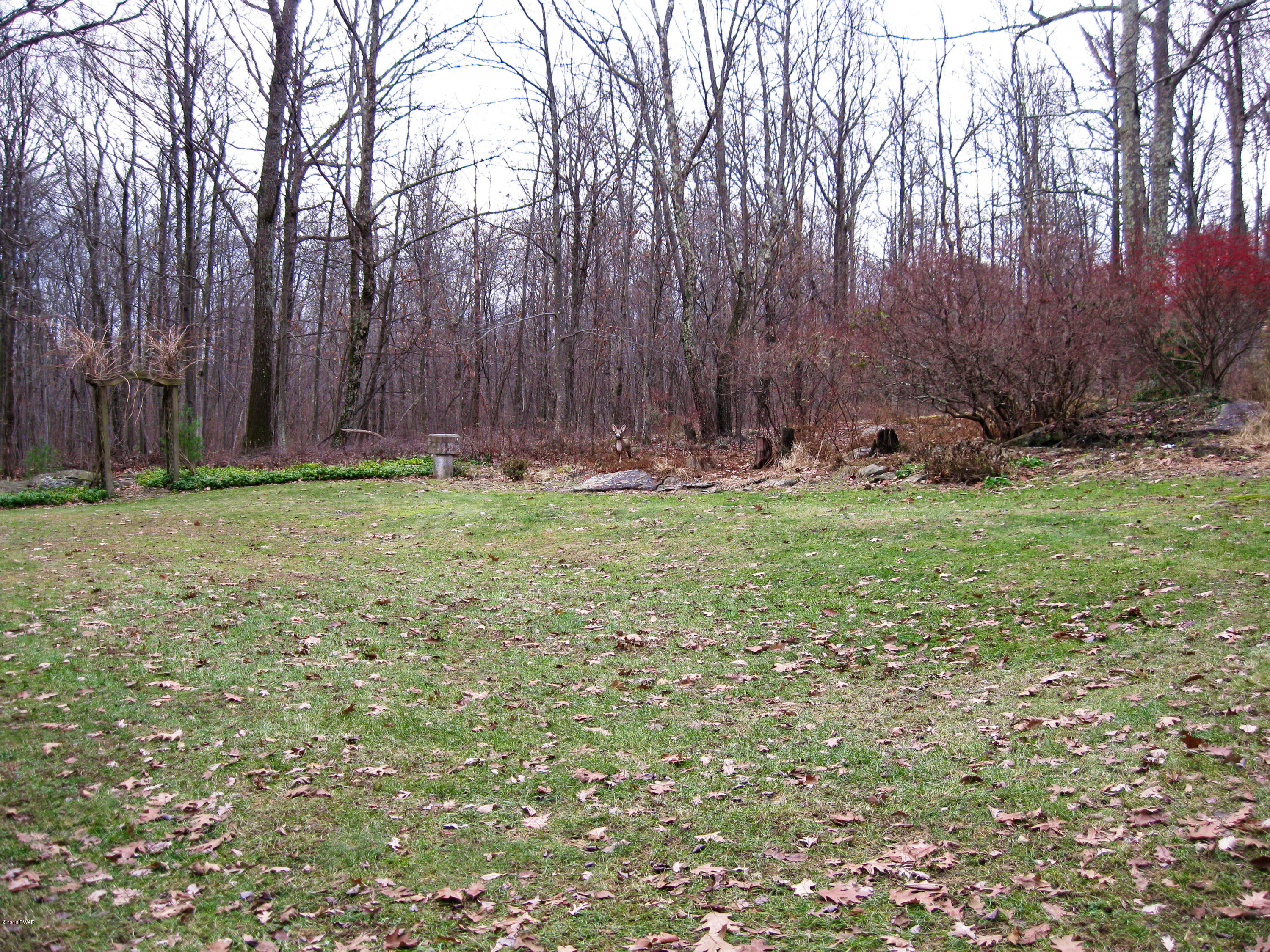 119 Ritz Drive Dingmans Ferry, PA 18328 - Photo 22 of 22 Yard