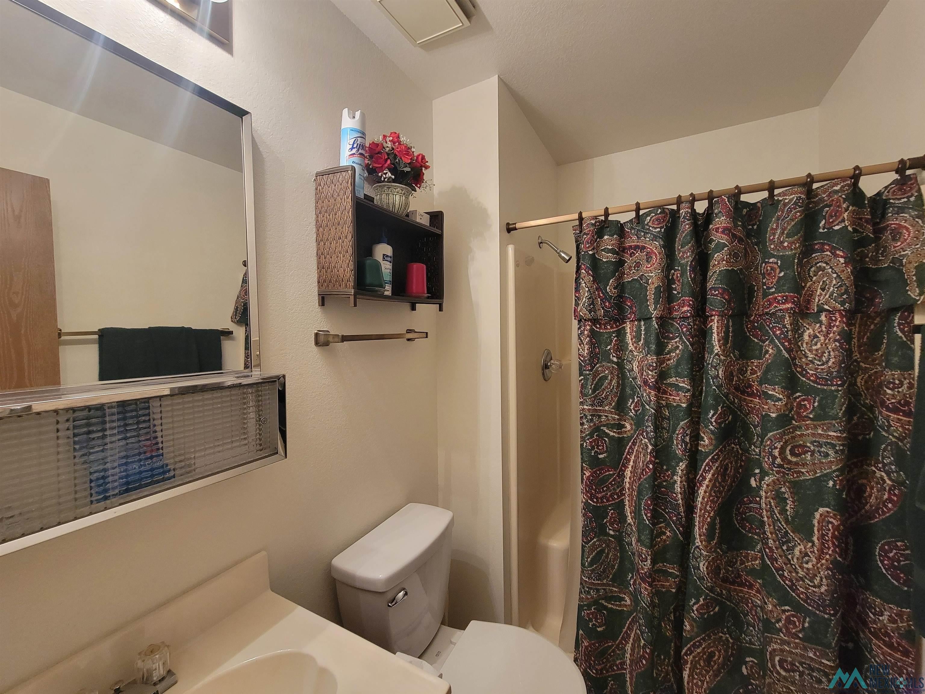 501 Springland Boulevard Elephant Butte, NM 87935 - Photo 17 of 38 Bathroom featuring a vanity with an integrated sink, mirrored medicine cabinet, built-in shelving, and a shower with an enclosure