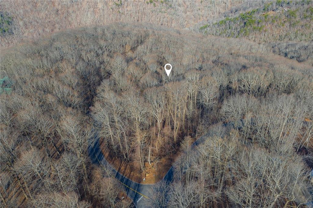 0 High Cliff Road Jasper, GA 30143 - Photo 2 of 10 a view of a dry yard