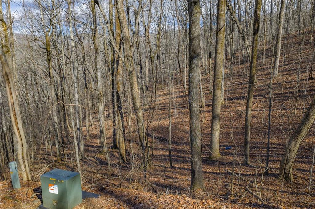 0 High Cliff Road Jasper, GA 30143 - Photo 5 of 10 a bathroom with a shower