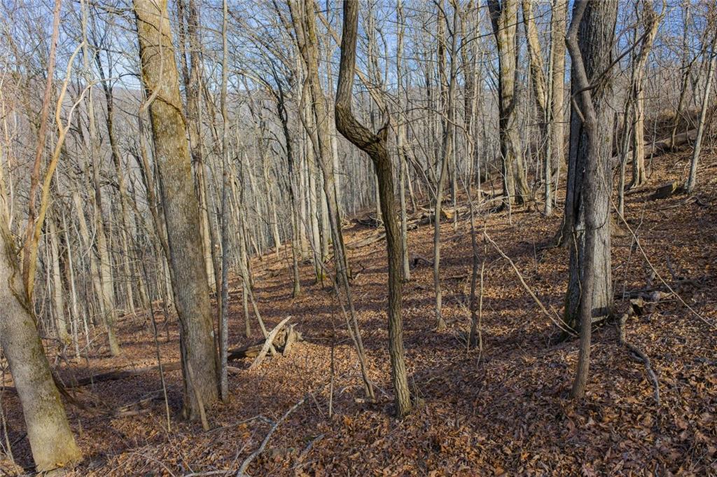 0 High Cliff Road Jasper, GA 30143 - Photo 6 of 10 a view of a backyard of the house