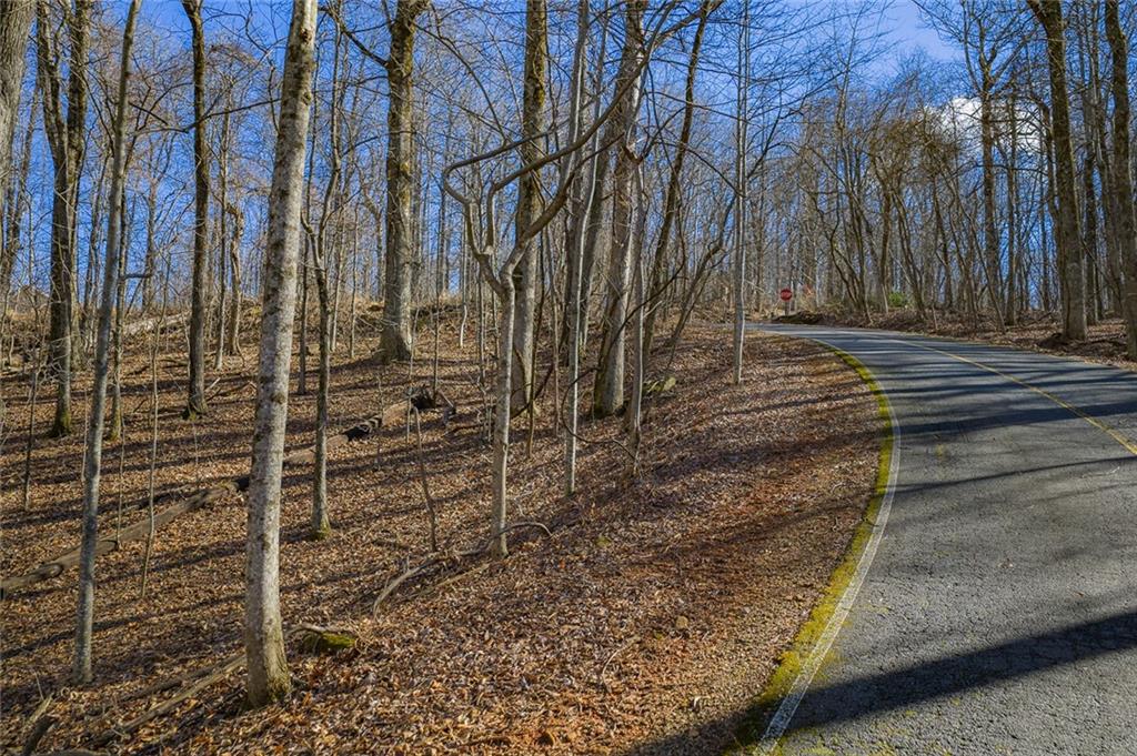 0 High Cliff Road Jasper, GA 30143 - Photo 8 of 10 a view of house with a door