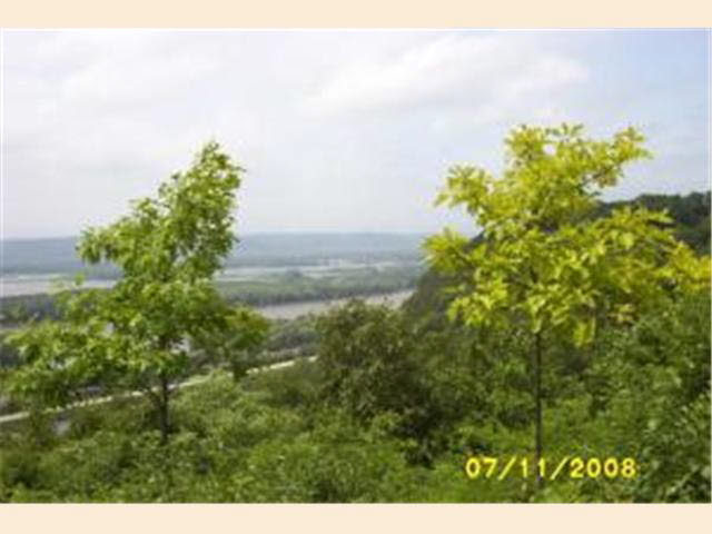35388 Old Homer Road Winona, MN 55987 - Photo 10 of 11 Gallery Image 10