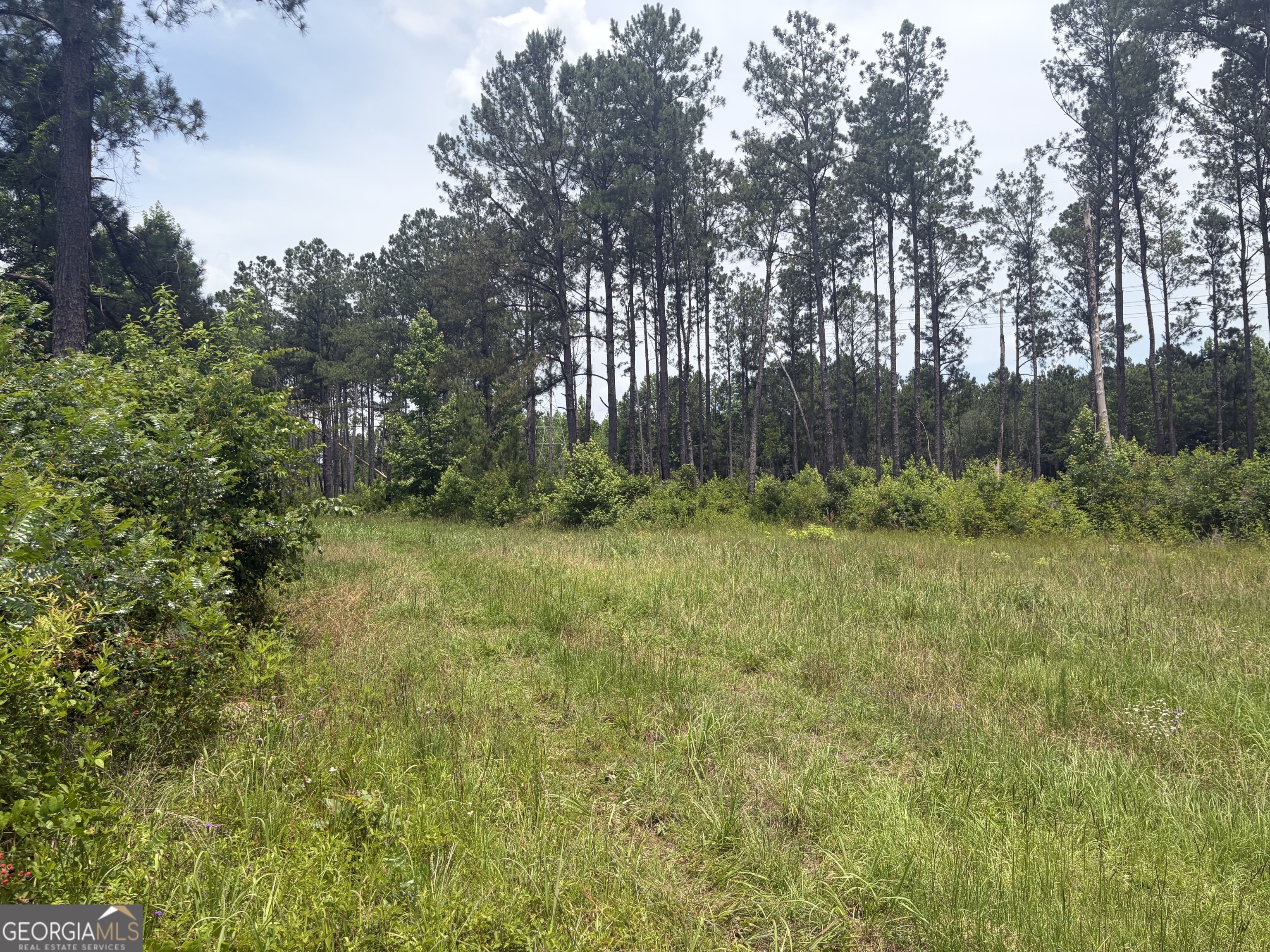 9 Sunhill Grange Road Sandersville, GA 31018 - Photo 11 of 12