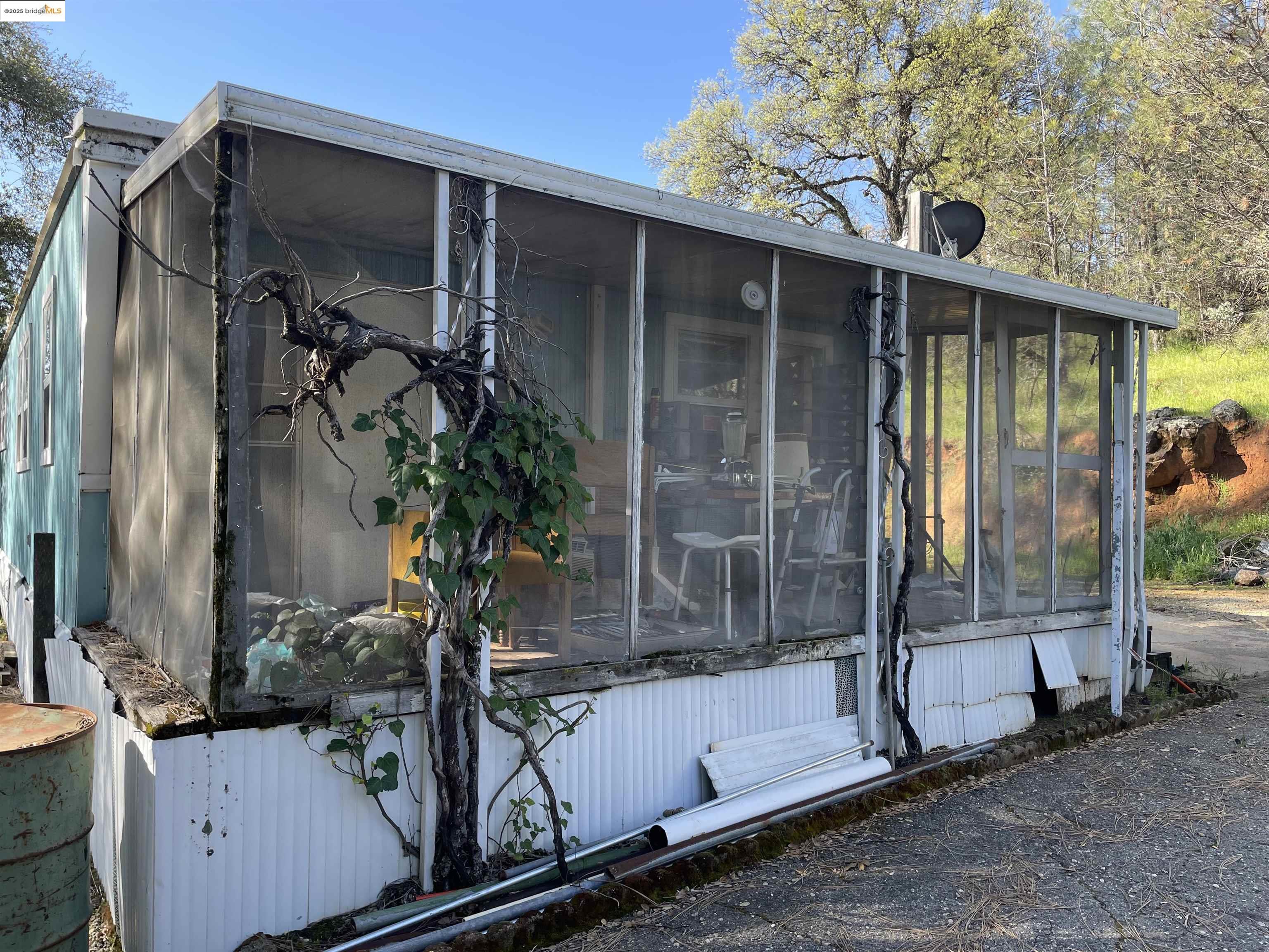 a potted plants sitting in front of a house