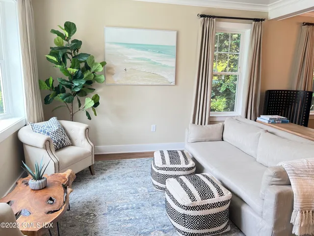 a living room with furniture and a potted plant
