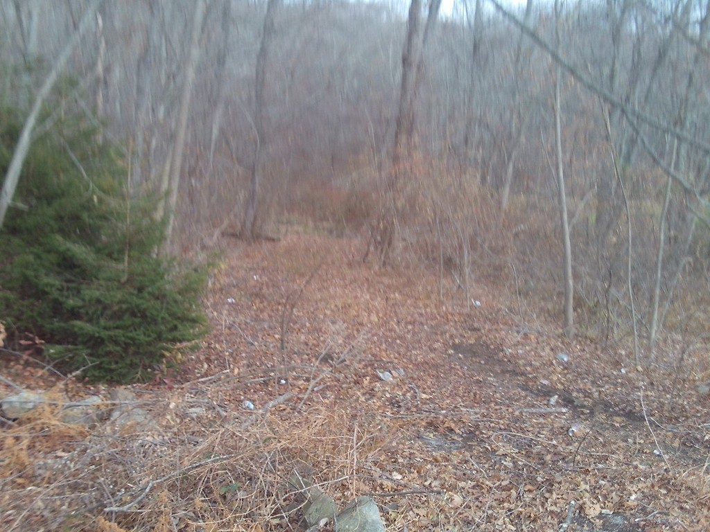 90 Chestnut Hill Road Millville, MA 01529 - Photo 3 of 9