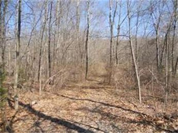 90 Chestnut Hill Road Millville, MA 01529 - Photo 4 of 9