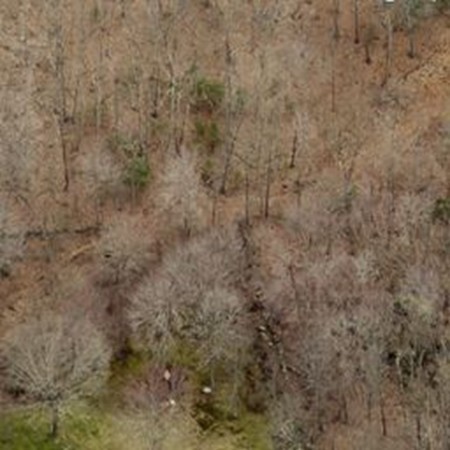 90 Chestnut Hill Road Millville, MA 01529 - Photo 9 of 9