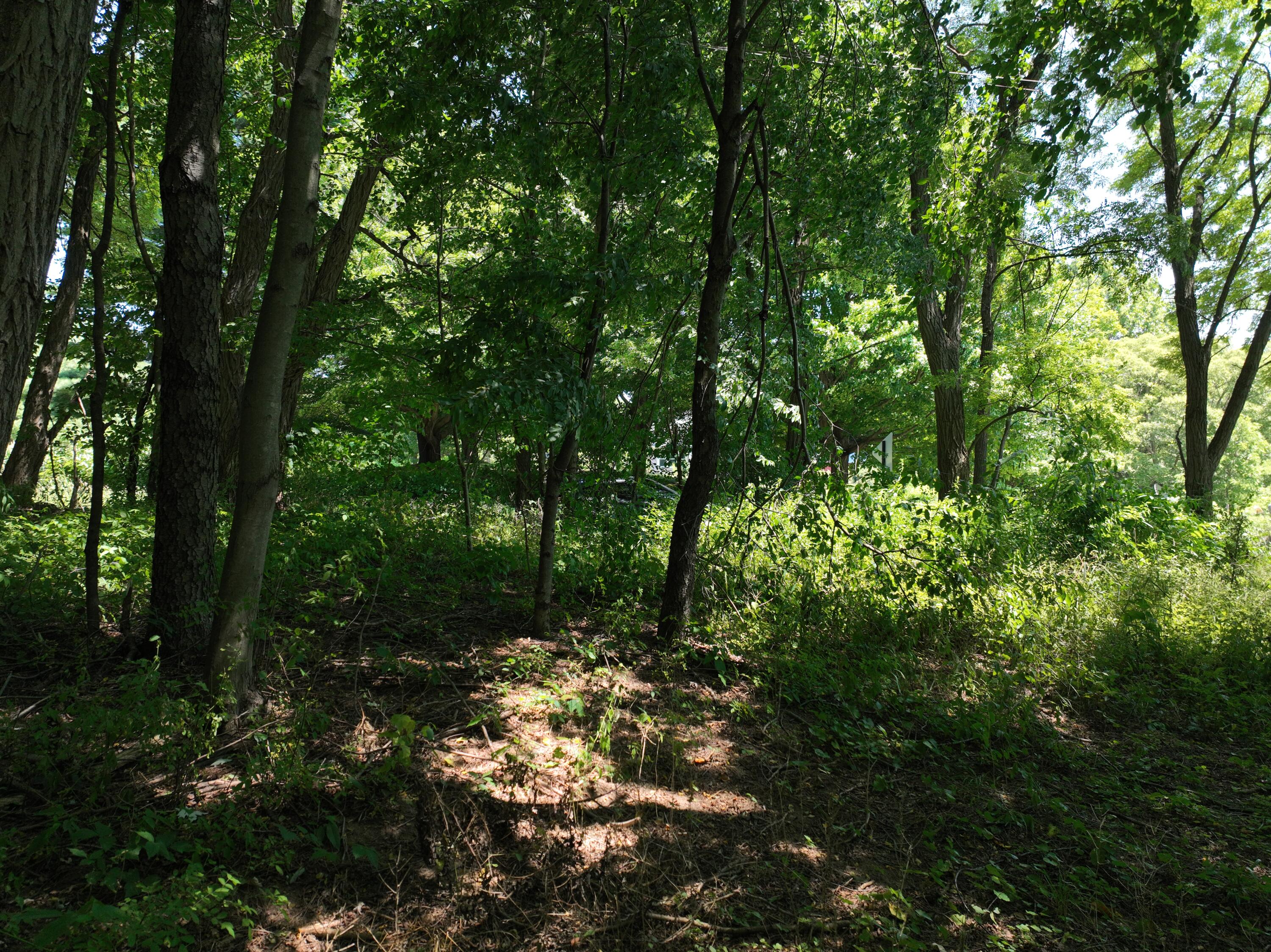V/l Trent Road Ravenna, MI 49451 - Photo 3 of 13 3