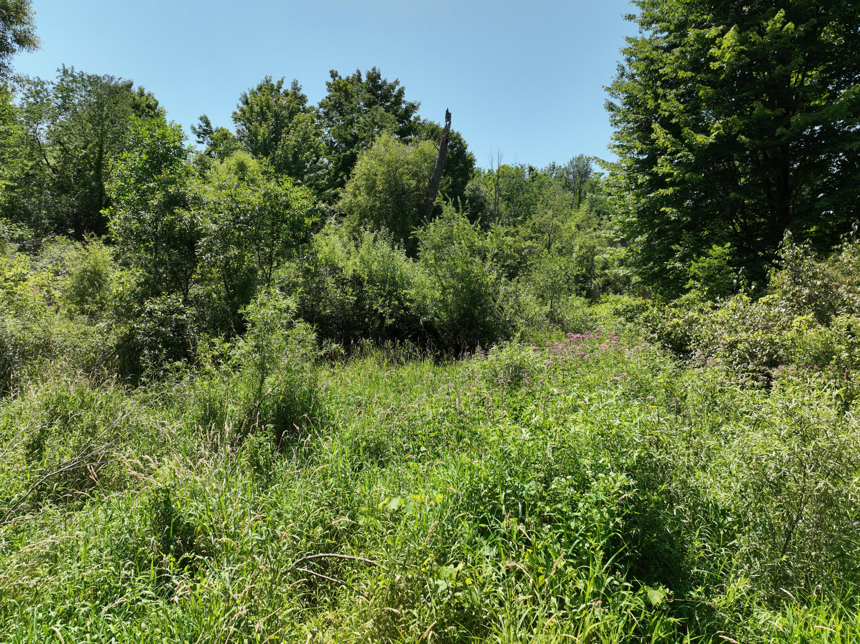 V/l Trent Road Ravenna, MI 49451 - Photo 5 of 13 5