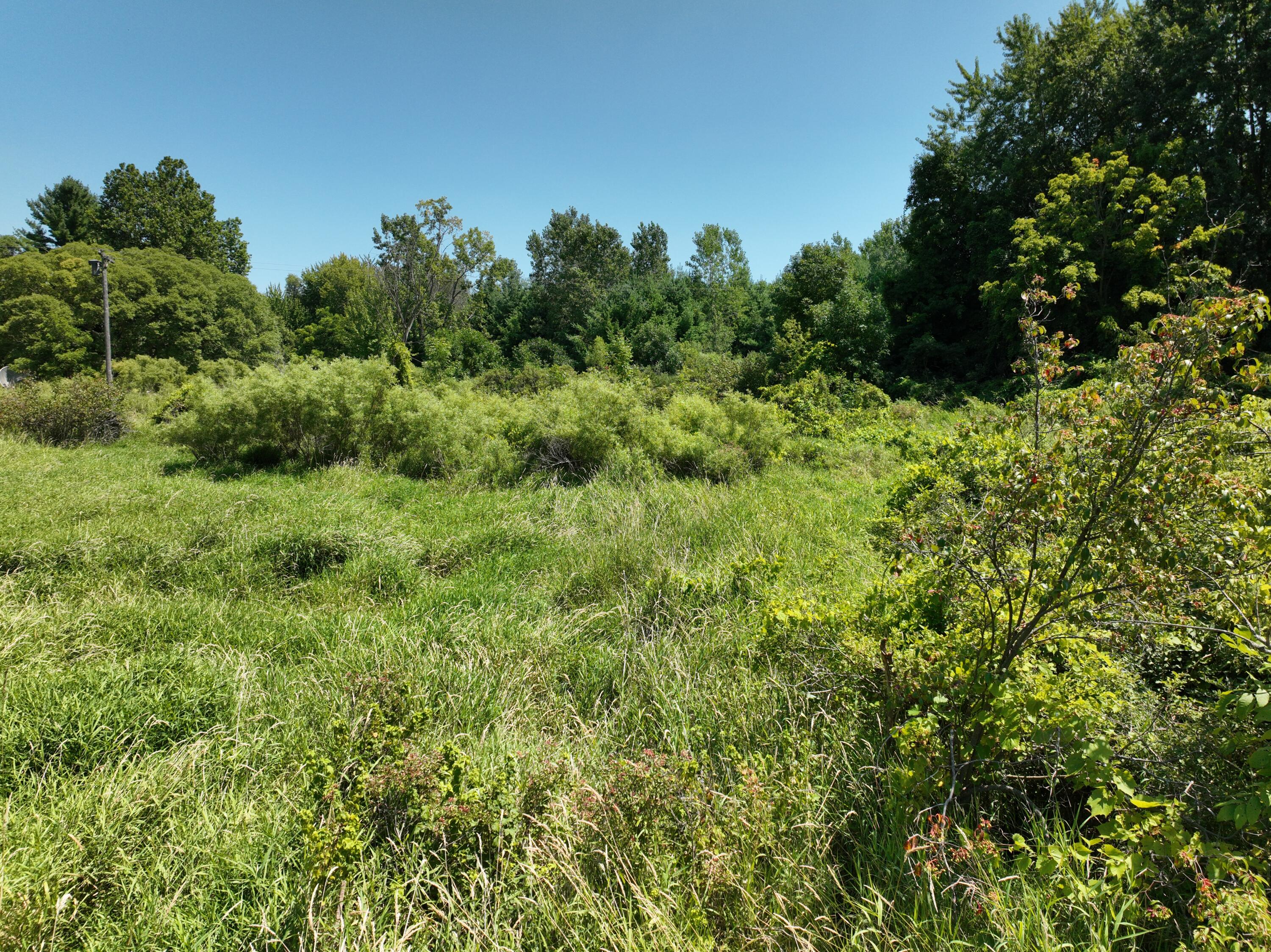 V/l Trent Road Ravenna, MI 49451 - Photo 7 of 13 7