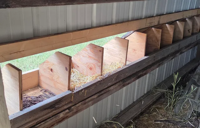 $650,000 | 341 Trabing Road, Buffalo, WY 82834