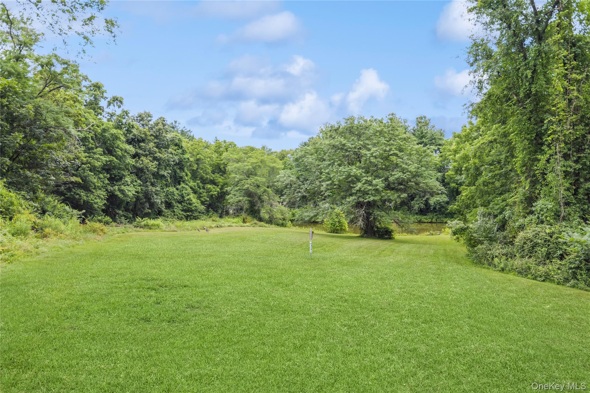 93 Widmer Road Wappingers Falls, NY 12590 - Photo 38 of 45 View of grassy yard featuring a view of trees
