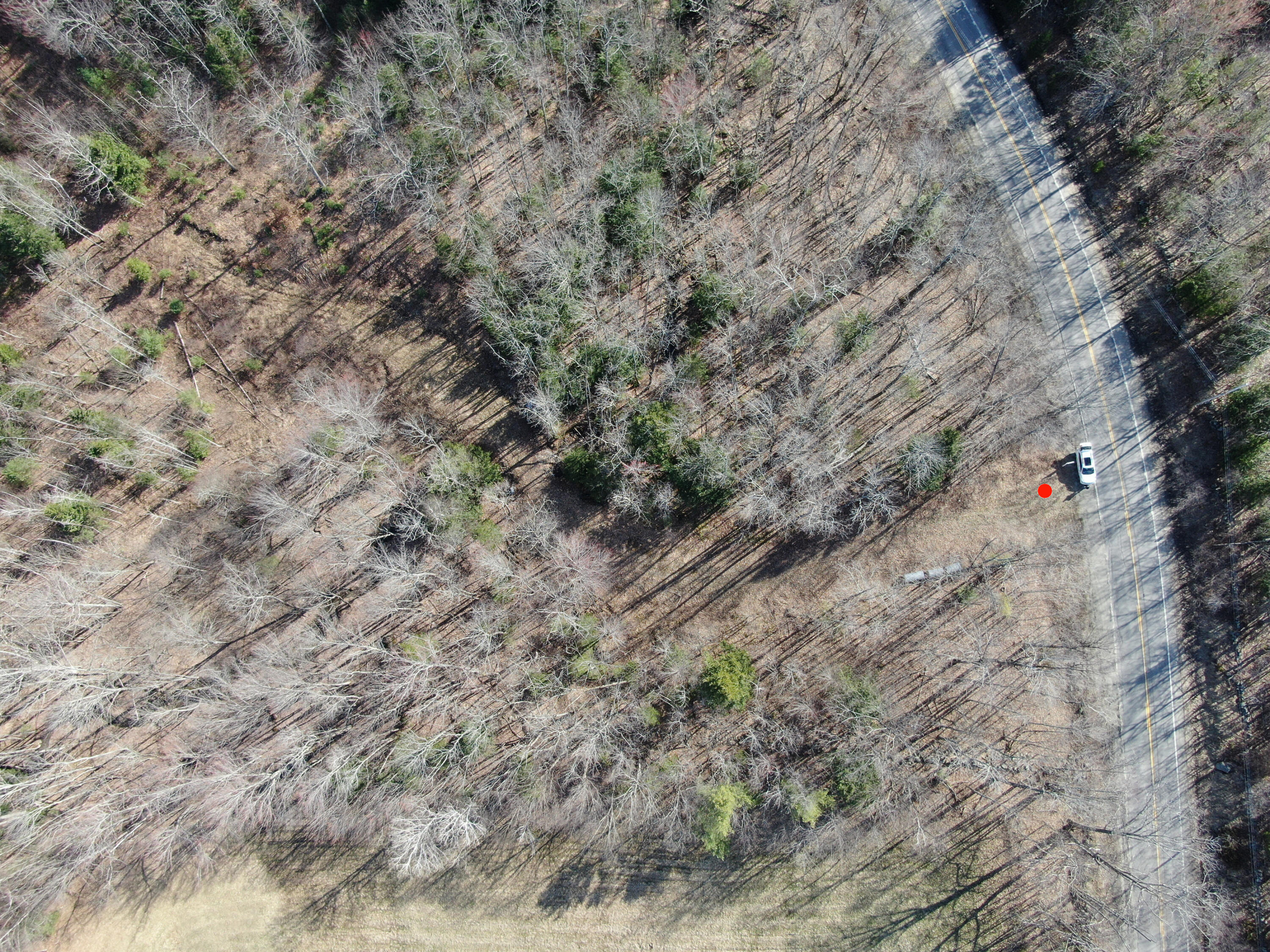 DJI_0053b