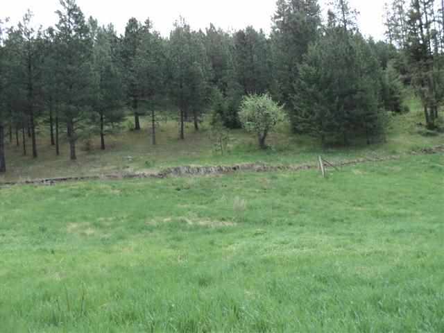 3039 Pleasant Valley Road Rice, WA 99167 - Photo 6 of 16