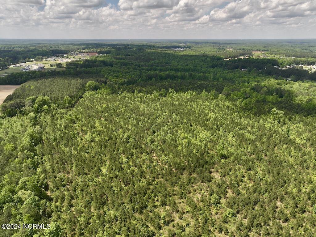 0 Buck Road Middlesex, NC 27557 - Photo 24 of 51 13