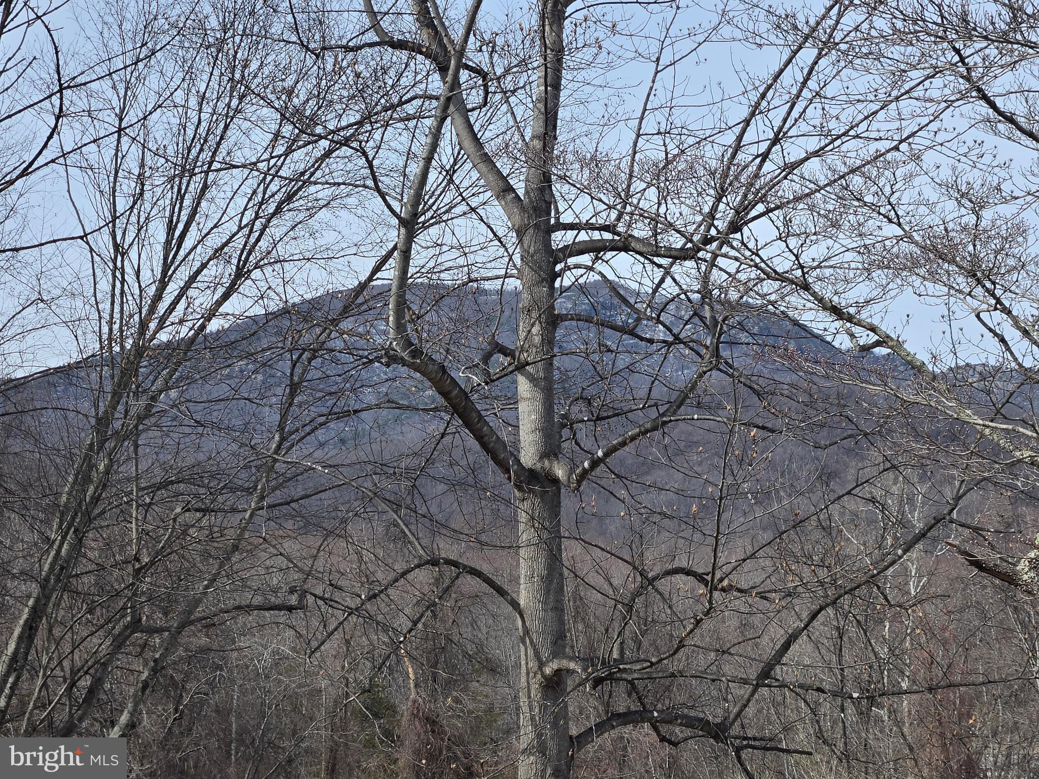 2996 Etlan Road Etlan, VA 22719 - Photo 24 of 27 View of Old Rag from the front yard