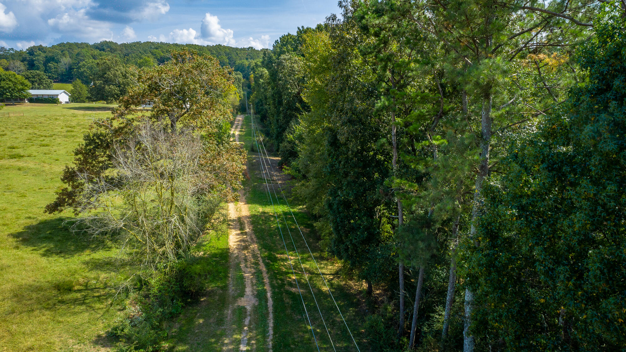 4939 Blue Springs Road Cleveland, TN 37311 - Photo 15 of 72 4939 Blue Springs Rd. SE HD-5