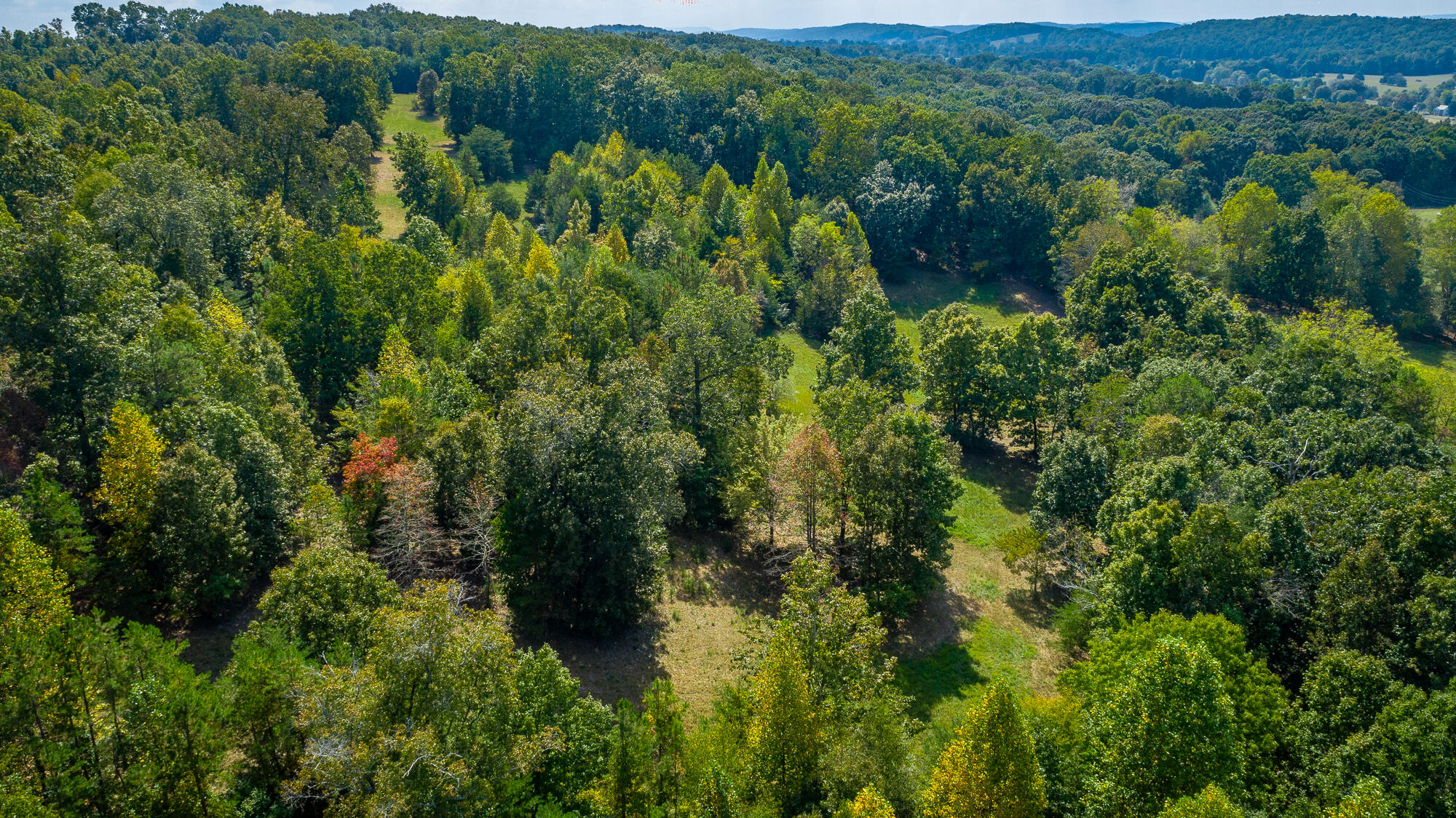 4939 Blue Springs Road Cleveland, TN 37311 - Photo 27 of 72 4939 Blue Springs Rd. SE HD-17