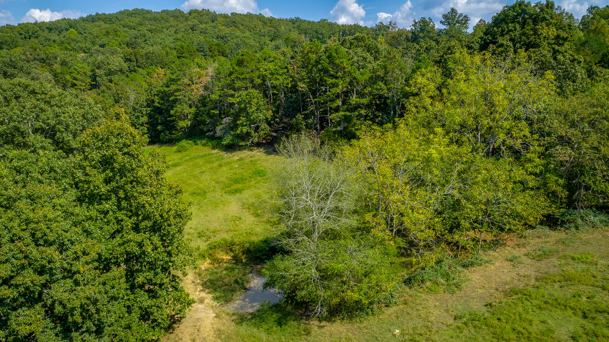 4939 Blue Springs Road Cleveland, TN 37311 - Photo 28 of 72 4939 Blue Springs Rd. SE HD-18