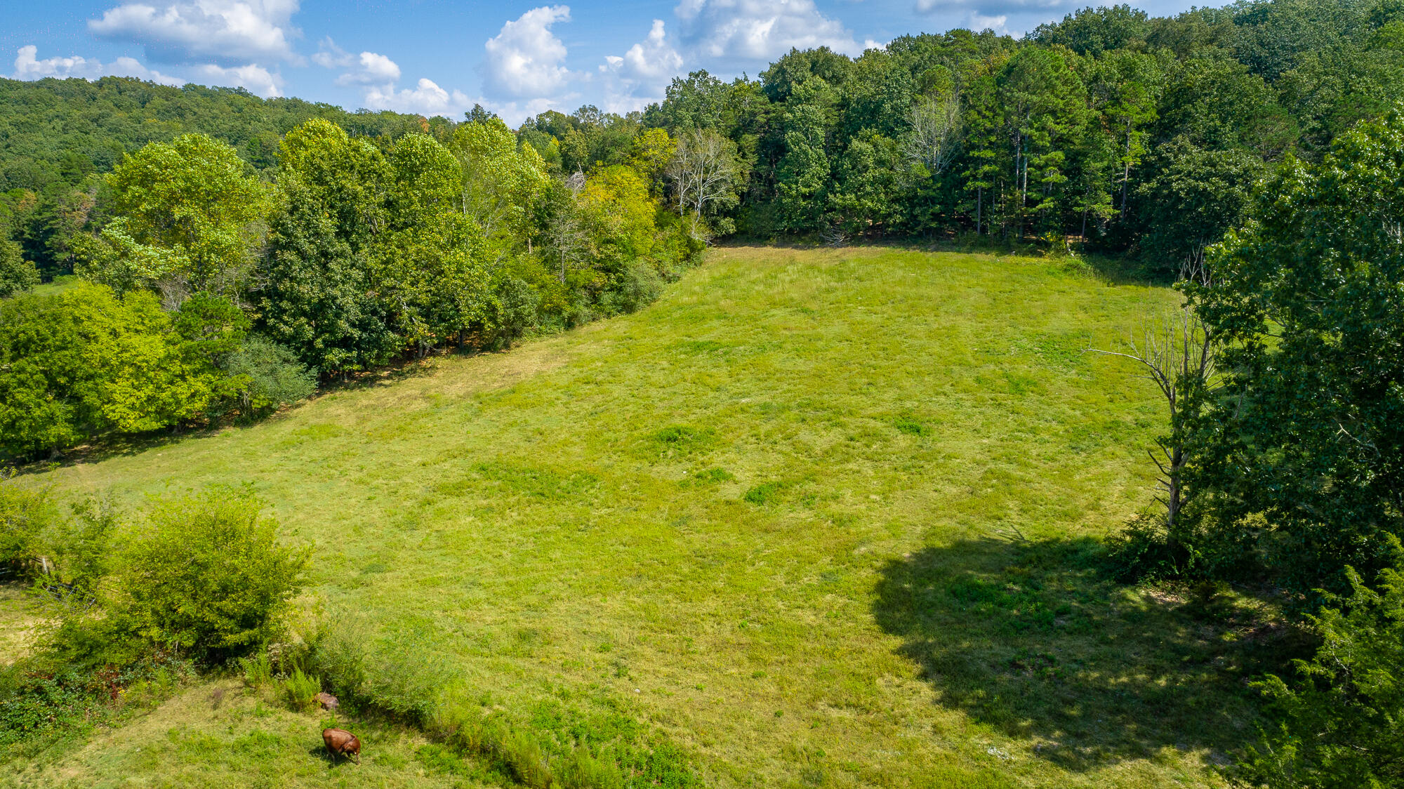4939 Blue Springs Road Cleveland, TN 37311 - Photo 33 of 72 4939 Blue Springs Rd. SE HD-23