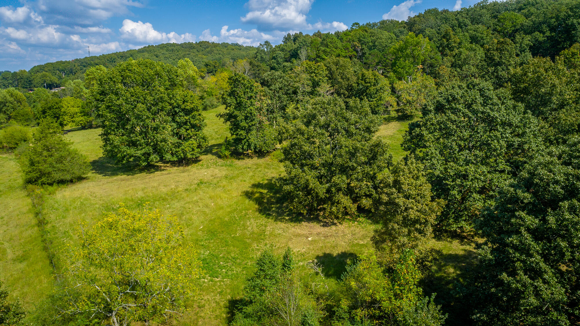 4939 Blue Springs Road Cleveland, TN 37311 - Photo 36 of 72 4939 Blue Springs Rd. SE HD-26