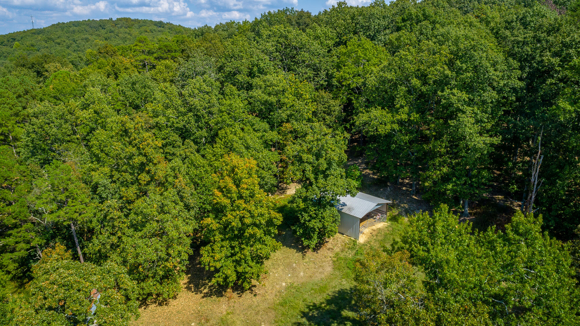 4939 Blue Springs Road Cleveland, TN 37311 - Photo 8 of 72 4939 Blue Springs Rd. SE HD-30