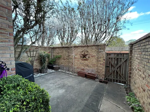 a view of backyard and tree