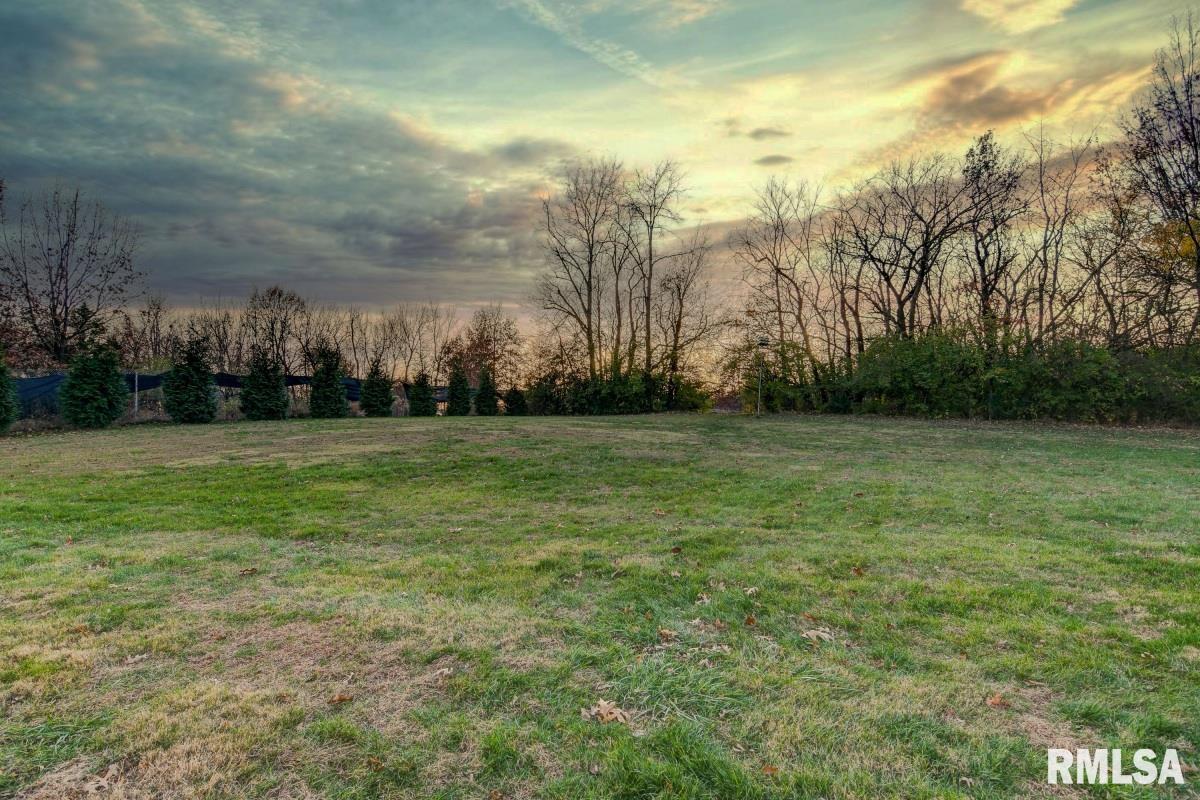 8089 South Vigal Road Pawnee, IL 62558 - Photo 50 of 57