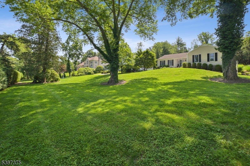 415 Fairmount Avenue Chatham, NJ 07928 - Photo 3 of 29