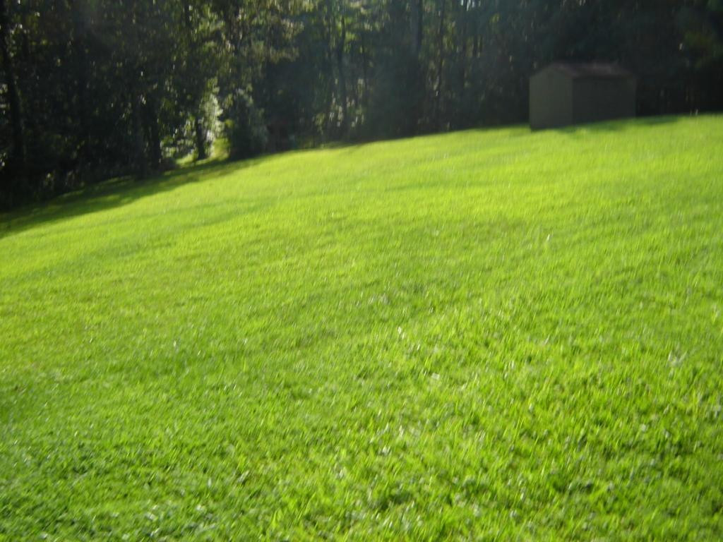 9743 Palmetto Road Wise, VA 24293 - Photo 4 of 17 Photo 4