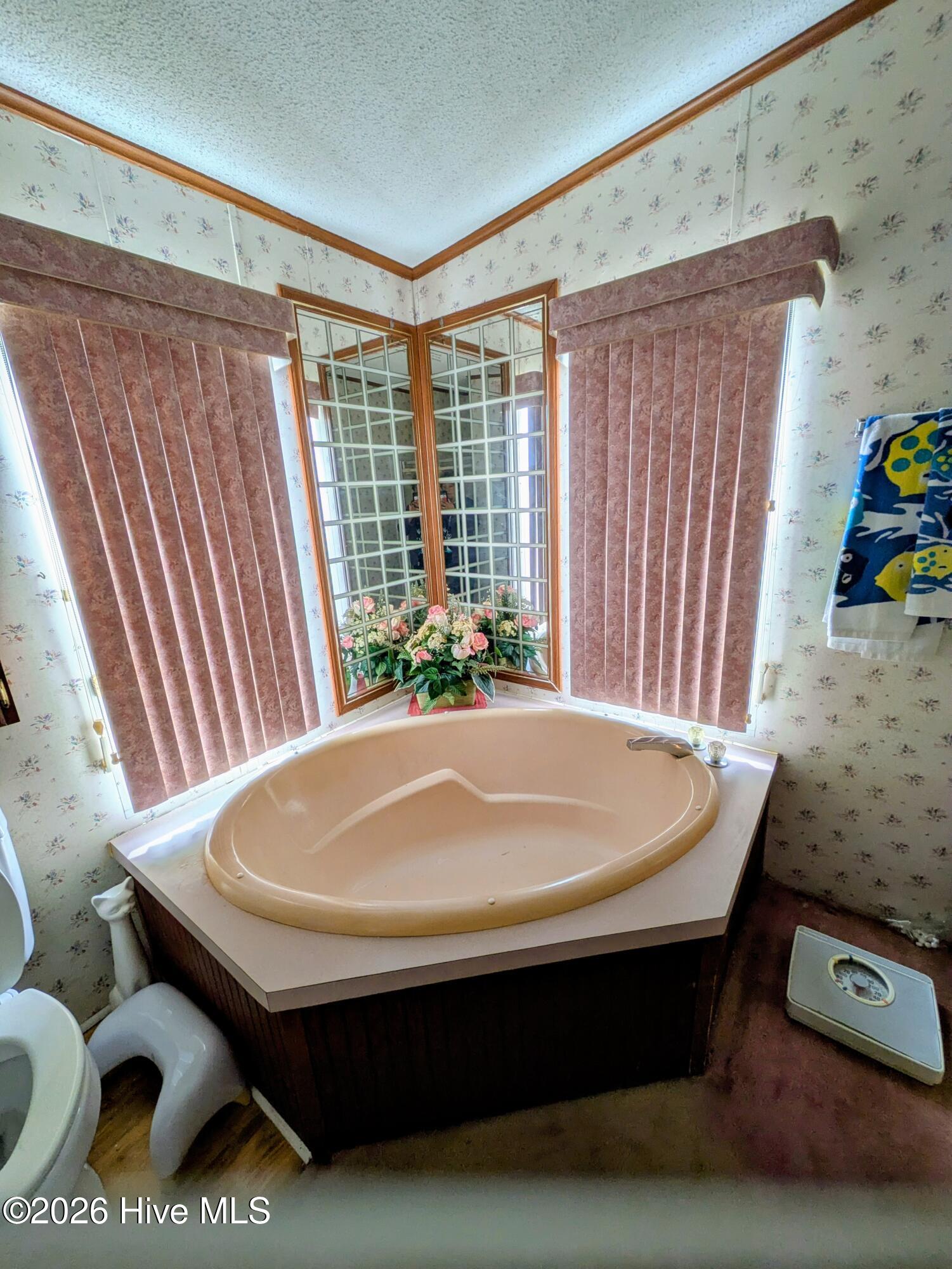 3120 Mobleys Bridge Road Grimesland, NC 27837 - Photo 11 of 15 Soaking Tub Mobleys Bridge