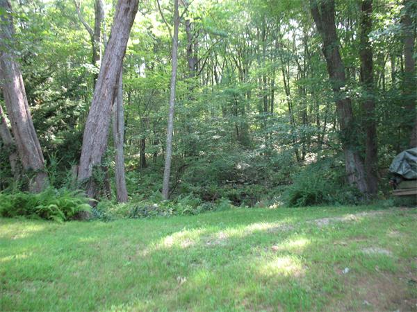 170 Wilsonville Road Thompson, CT 06255 - Photo 4 of 5 a view of a lush green forest