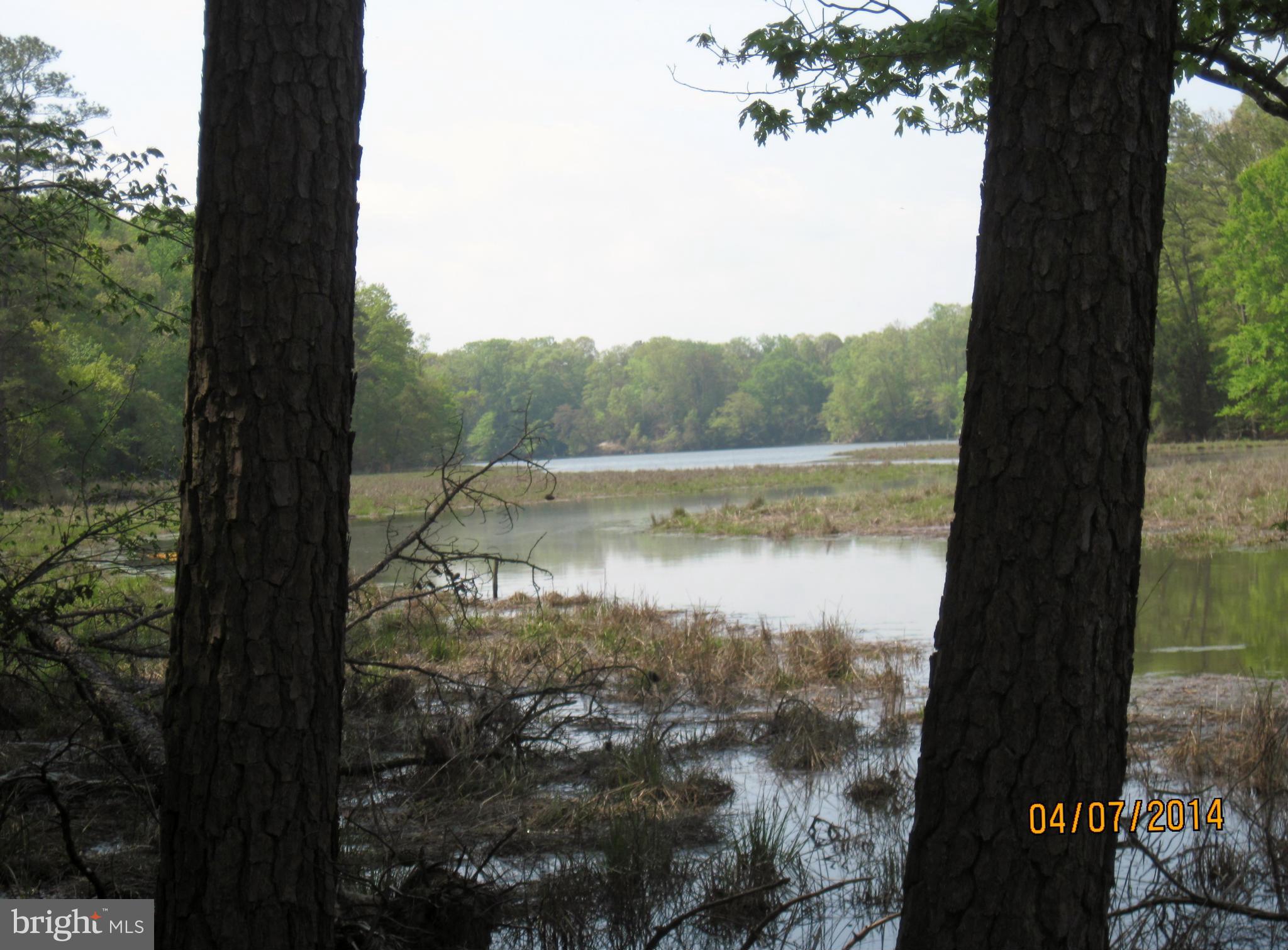 7151 Marshall Road St. Leonard, MD 20685 - Photo 22 of 25 a view of lake with green space