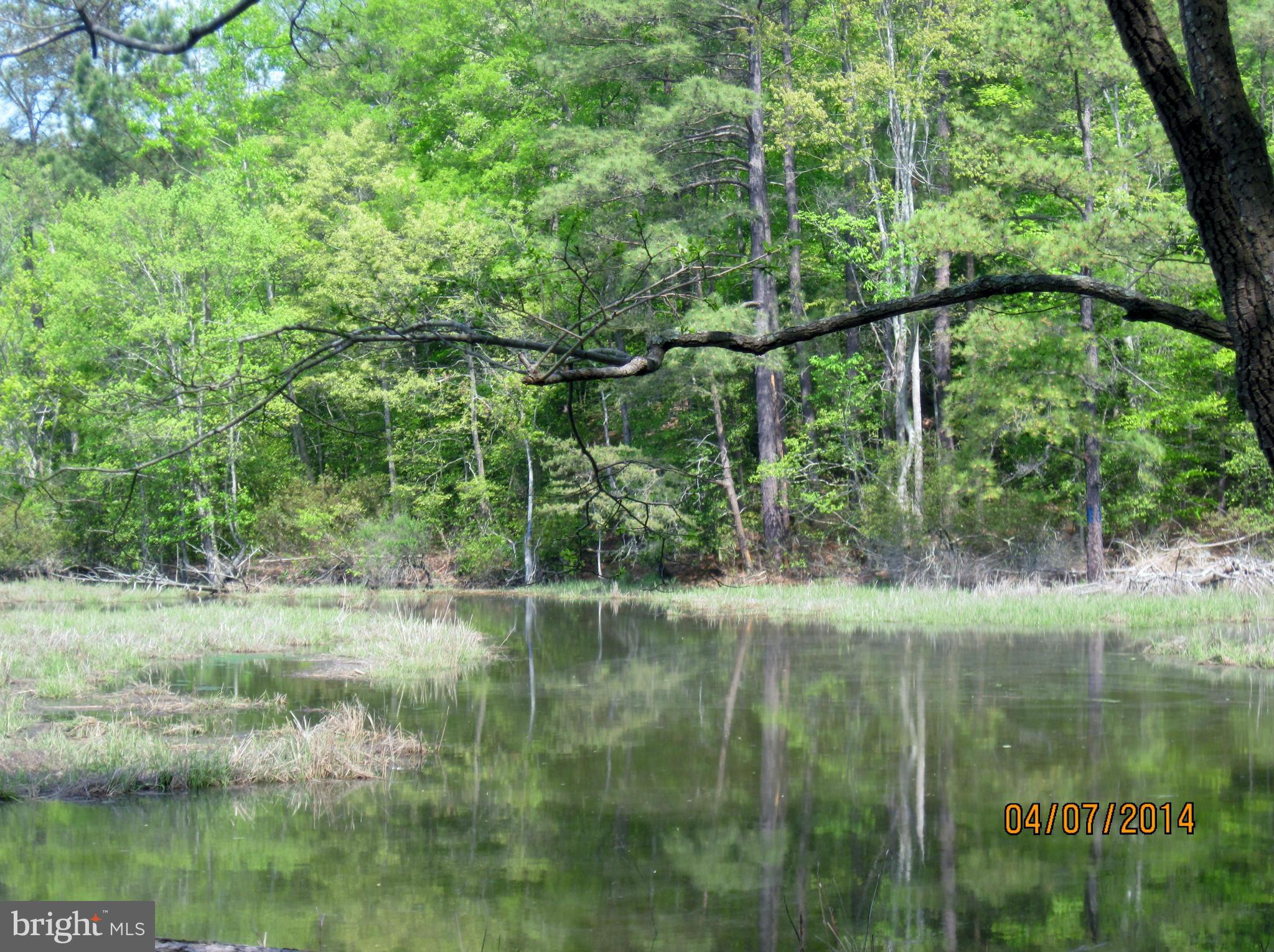 7151 Marshall Road St. Leonard, MD 20685 - Photo 23 of 25 a view of outdoor