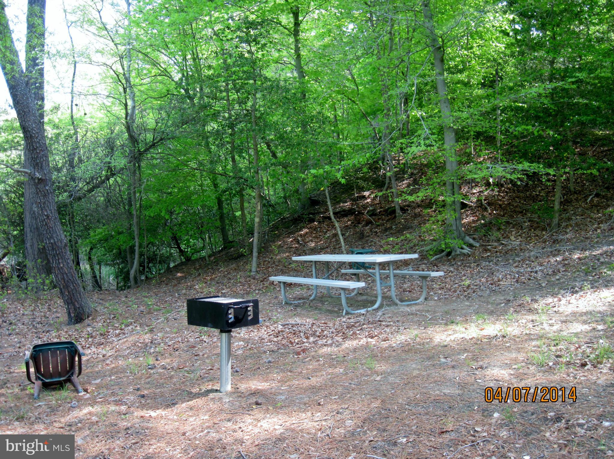 7151 Marshall Road St. Leonard, MD 20685 - Photo 24 of 25 a view of a backyard