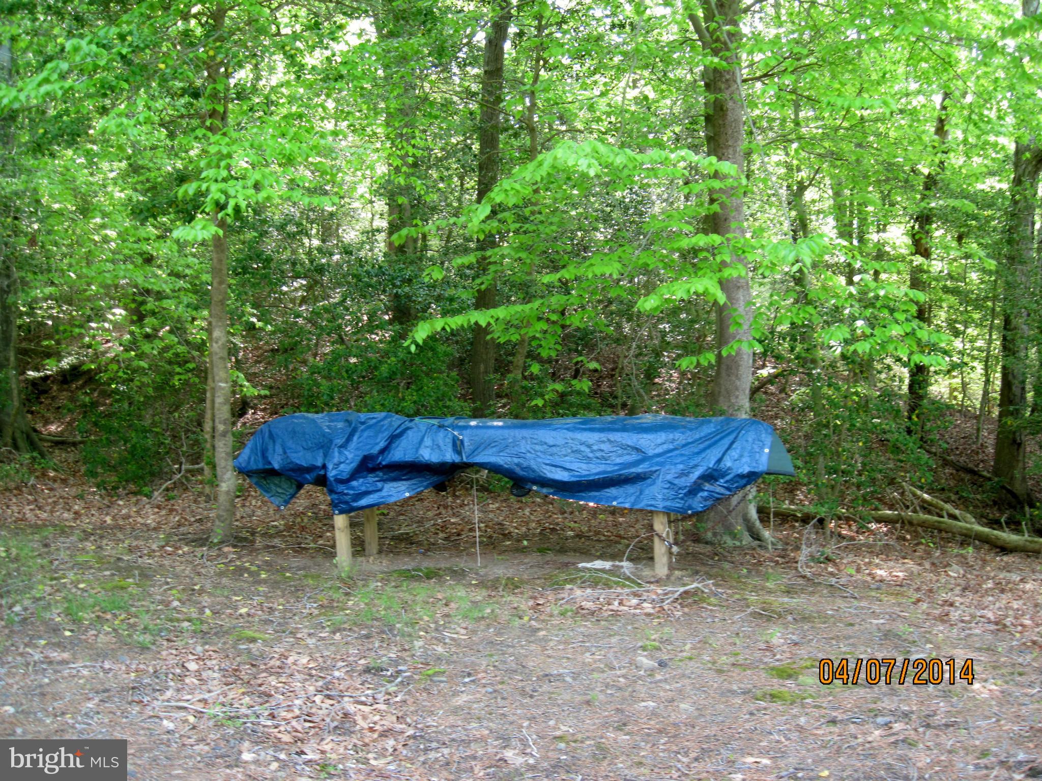 7151 Marshall Road St. Leonard, MD 20685 - Photo 25 of 25 a view of a backyard with plants area and wooden fence