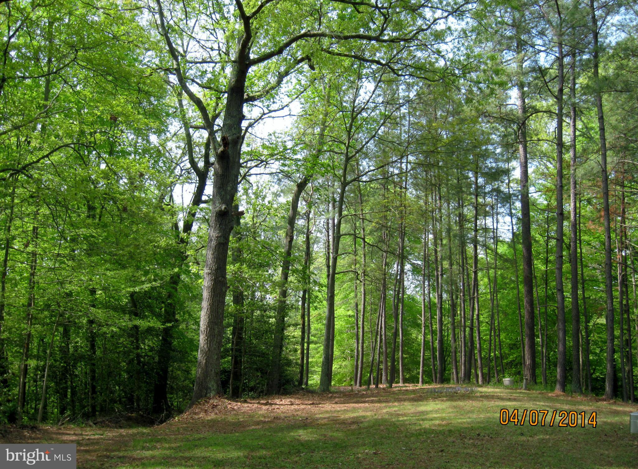7151 Marshall Road St. Leonard, MD 20685 - Photo 4 of 25 a view of a park
